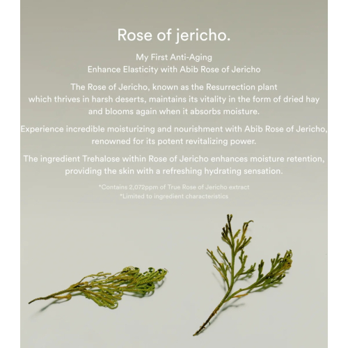Abib - Sérum Firmador Jericho Rose Bifida
