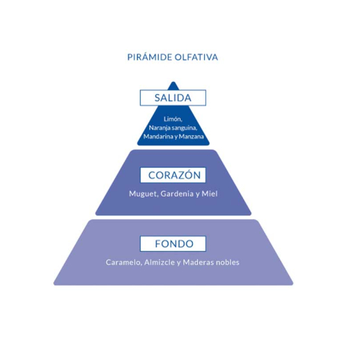 Aire de Sevilla - Eau de toilette feminino 150ml - Oh My God!!