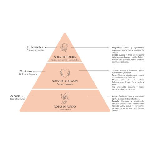 Alma Secret - *Home* - Aromatizador de ambiente Mikado - Amber & Vanilla