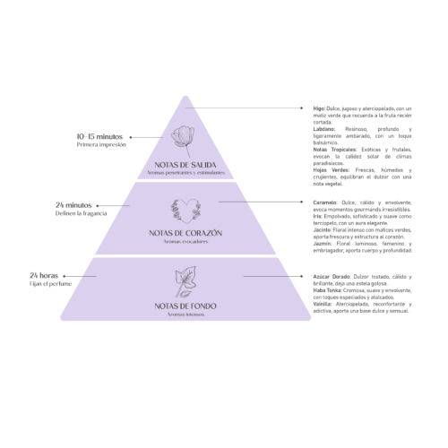 Alma Secret - *Home* - Aromatizador de ambiente Mikado - Wild Fig & Praliné