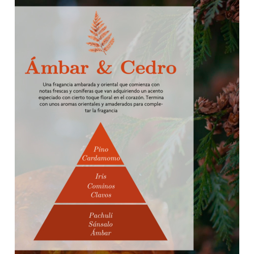 AMBAR Perfums - *Zen* - Spray Aromatizador de Ambientes - Intensidade: Âmbar e Cedro