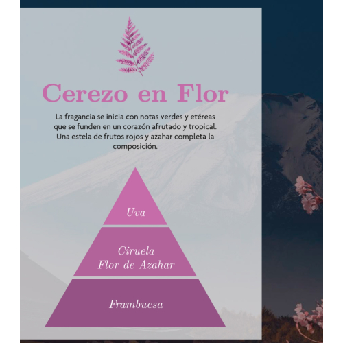AMBAR Perfums - *Zen* - Aromatizador de ambiente Mikado - Renascimento: Flor de cerejeira