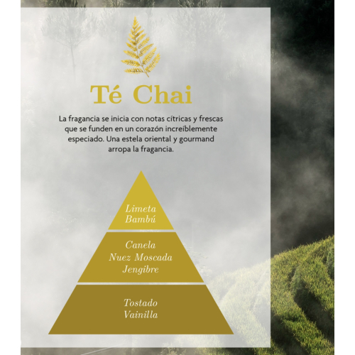 AMBAR Perfums - *Zen* - Ambientador para Carro - Ativação: Chai Tea