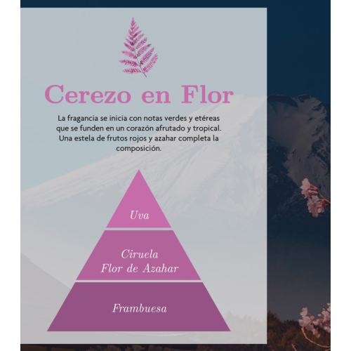 AMBAR Perfums - *Zen* - Ambientador para Carro - Renascimento: Flor de Cerejeira