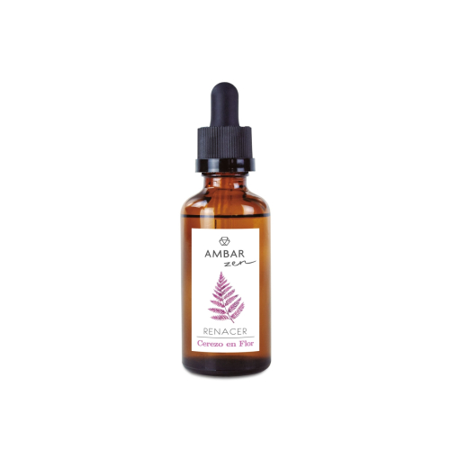 AMBAR Perfums - *Zen* - Essência solúvel em água - Renascimento: Flor de cerejeira