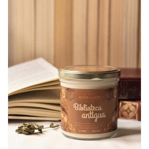 Book and Glow - *Perfect Moments* - Vela de Soja - Biblioteca antigua