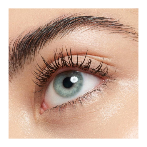 Catrice - Máscara Pure Volume Magic Brown - 010: Burgundy Brown