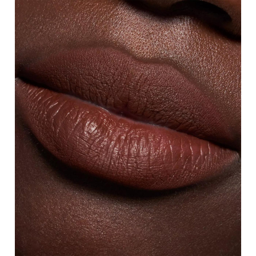 Catrice - Delineador labial Plumping Lip Liner - 170: Chocolate Lover