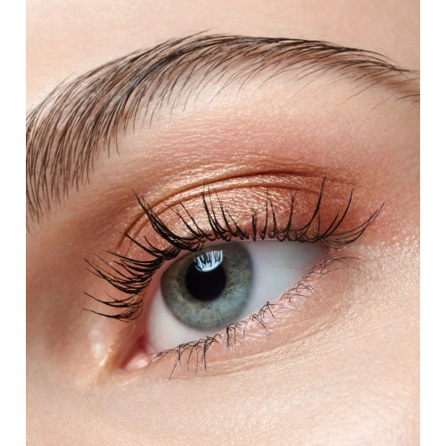 Catrice - Sombra Art Couleurs - 440: Bronze Bliss