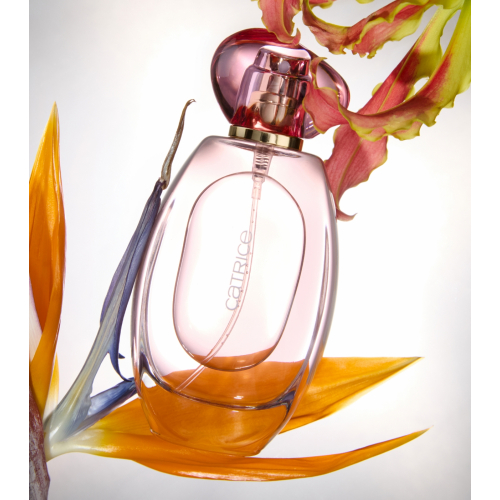 Catrice - *The Summer Edit* - Bruma para cabelo e corpo - L'Eau So Sunkissed!