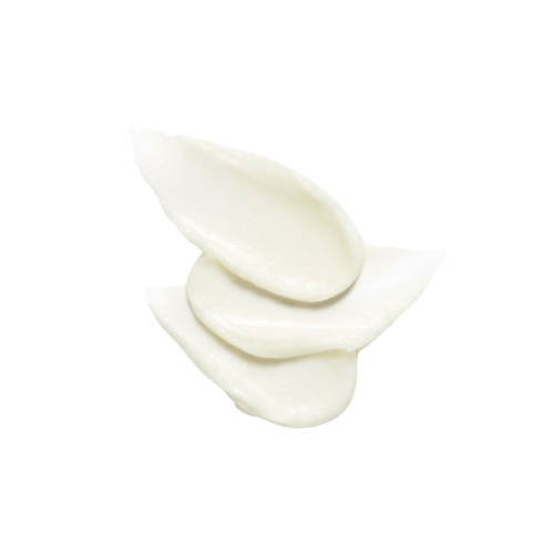 Cell Fusion C - Protetor solar em bastão SPF50+ PA++++ Aquatica