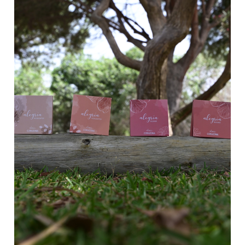 CORAZONA - *Coleção Alegría x Alma* - Blush em pó - Canela en Rama