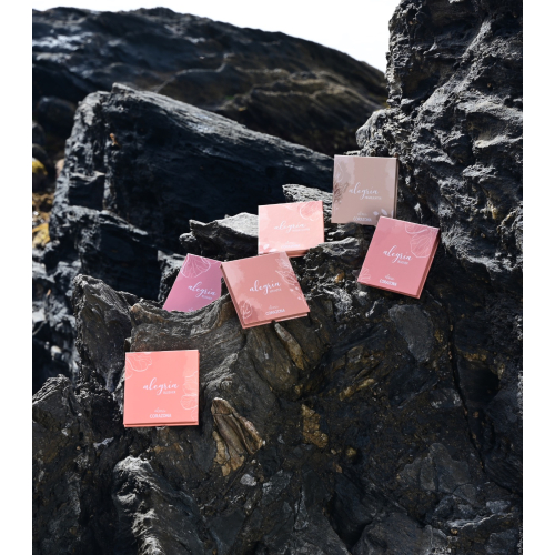 CORAZONA - *Coleção Alegría x Alma* - Blush em pó - Canela en Rama