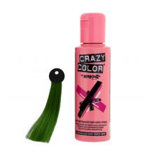 CRAZY COLOR Nº 46 - Creme de coloração de cabelo - Pine Green 100ml