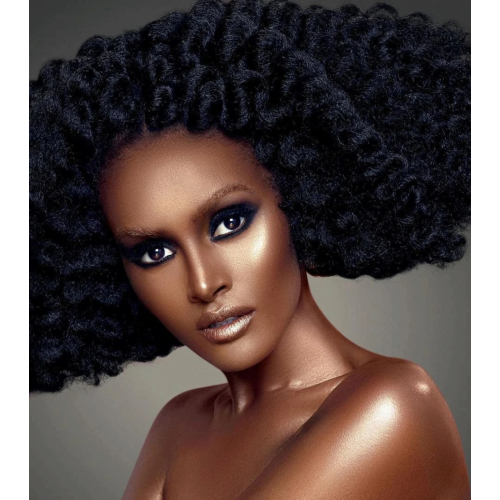 Danessa Myricks - Colorfix Mattes - Blackout