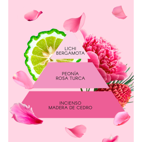 Don Algodon - Eau de toilette para mulheres - La Vie en Rose