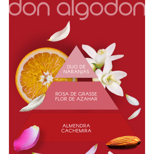 Don Algodon - Eau de toilette para mulheres - Red Party