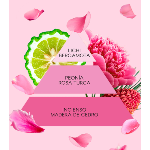 Don Algodon - Conjunto de presente La Vie en Rose