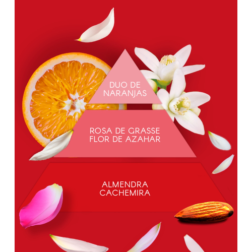 Don Algodon - Conjunto de presente Red Party