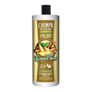 Dona Flora - *Gengibre* - Shampoo estimulante com gengibre