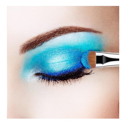 Eigshow - Shadow Brush E827