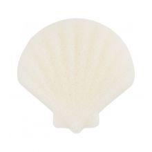 essência - *Cute As Shell* - esponja facial Konjac - 01: All About Shell-Care