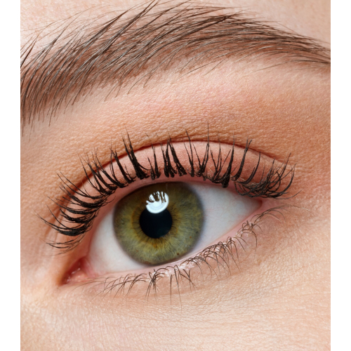 essence - Mini paleta de sombras de olhos the BROWN edition
