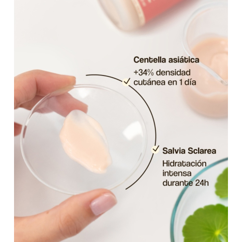 Freshly Cosmetics - Creme Hidratante Diurno Centella Asiatica CICA Calm - Pele seca e sensível