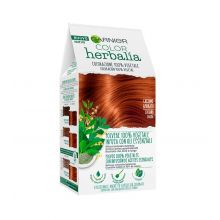 Garnier - 100% de corante vegetal Color Herbalia - castanha de mogno
