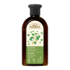 Green Pharmacy - Shampoo anticaspa - Óleo de Bétula e Rícino