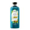 Herbal Essences - *Bio Renew* - Champô reparador com óleo de argan 400ml