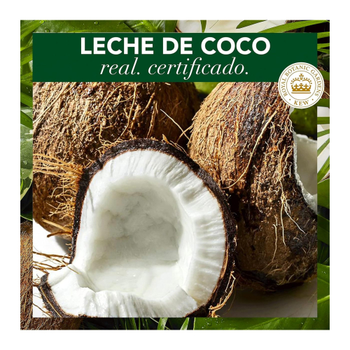 Herbal Essences - Pacote Shampoo + máscara com leite de coco