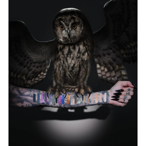 Jeffree Star Cosmetics - Paleta de Sombras Night Owl