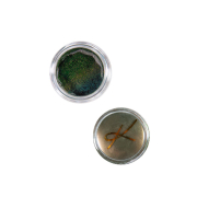 Karla Cosmetics - Pigmentos soltos duochrome - Story Time