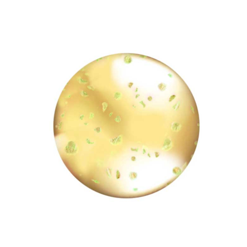 L.A Colors - Brilho de lábios Lip Oil - CLG442: Hunnybun