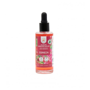 La Casa de los Aromas - Óleo essencial de ambientador - Cereja