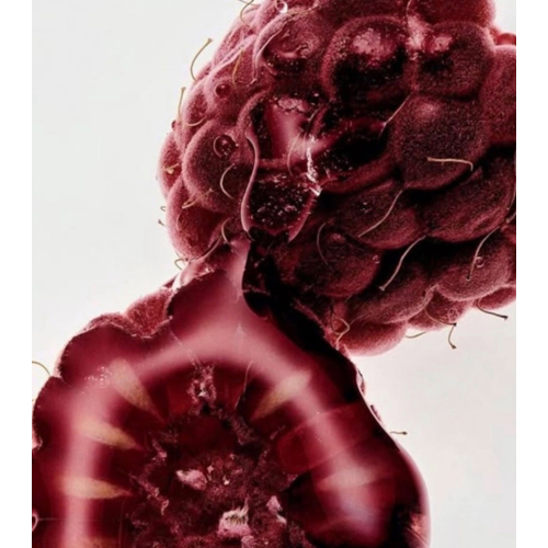 Maria Orbai - Brilho labial Glossy Lip Butter - Açai Berry