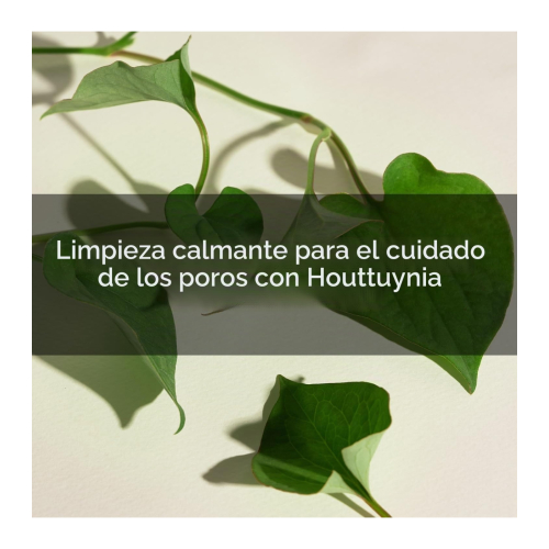Mary & May - Limpador facial em espuma purificante Houttuynia Cordata + Tea Tree