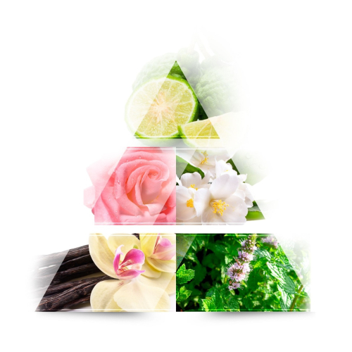 ONE AVENUE - Eau de parfum - Orchid