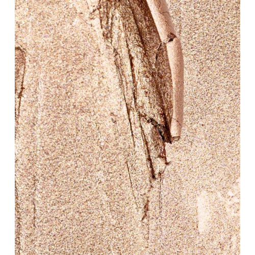 Palladio - Sombra em bastão - 02: Champagne Shimmer