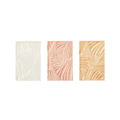 Planet Revolution - Paleta de Faces - Rainforest