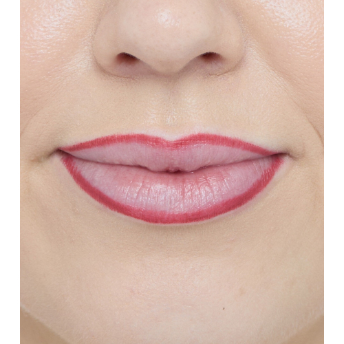 Revolution - Delineador labial Pout Liner - Burnt Cherry Red