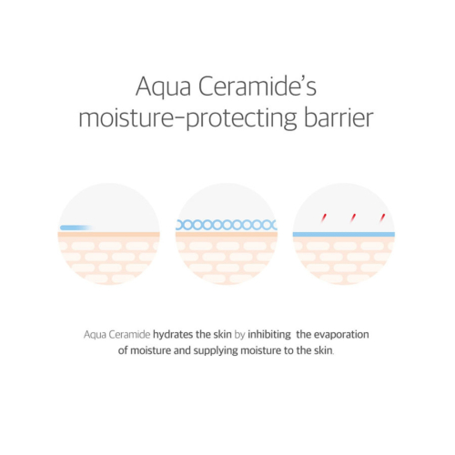 Round Lab - Protetor Solar Suavizante 365 Derma Relief SPF 50+ PA++++