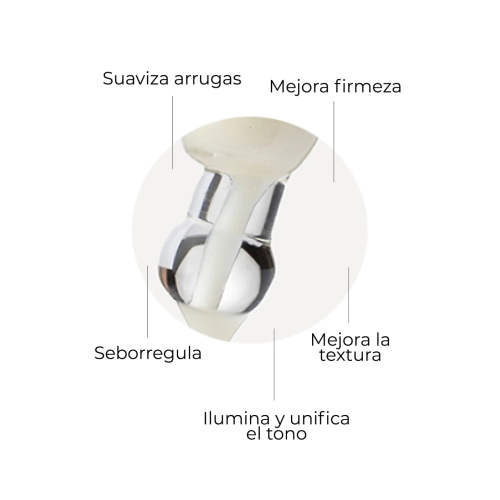 SEGLE - Pacote antienvelhecimento Well Aging Set