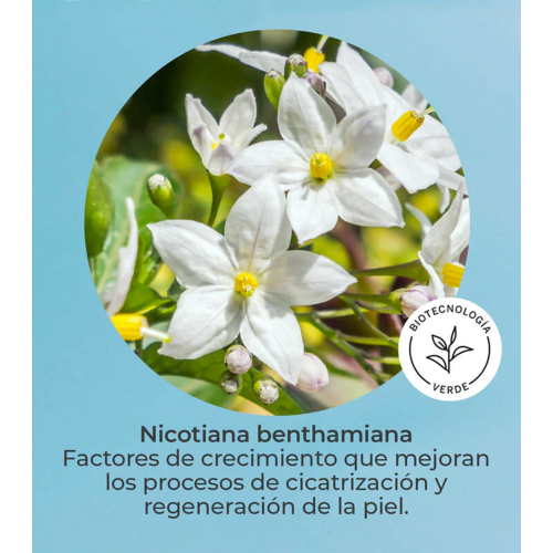 SEGLE - Sérum facial regenerador antienvelhecimento Skin Factor - Pele sensível