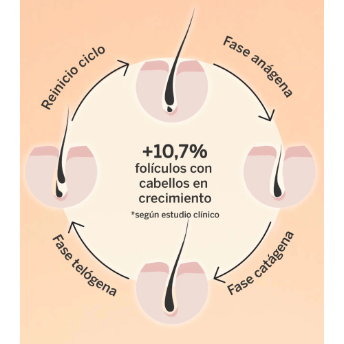 SEGLE - Soro capilar Revival & Density