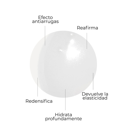 SEGLE - Sérum facial antienvelhecimento Cellular Plus