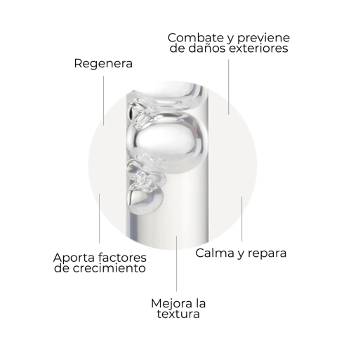 SEGLE - Sérum facial regenerador antienvelhecimento Skin Factor - Pele sensível