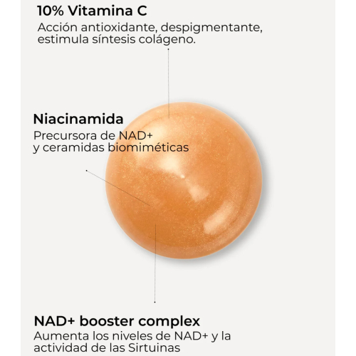 SEGLE - Sérum facial antioxidante Antiox NAD+