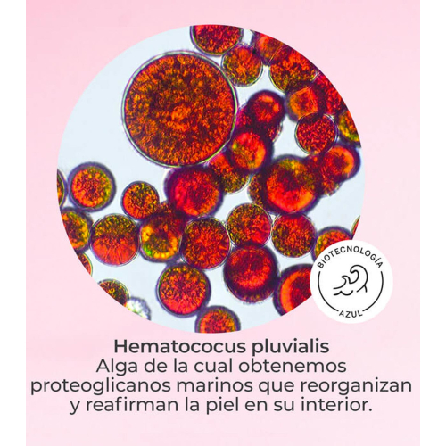 SEGLE - Efeito sérum facial flash lifting DMAE LIFT 10